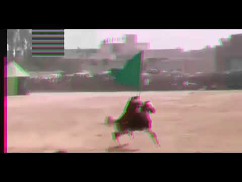 واحـد لابـد واحـد شـارد تصاميم