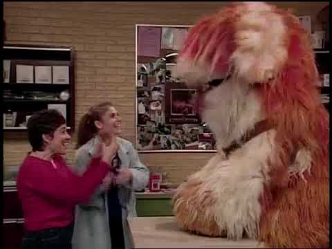Sesame Street 3918 Gina Opens Her Veterinary Practice 2001