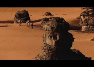 Unique Au Monde Et Seulement En Algérie
