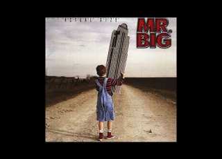 Shine MR Big