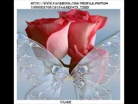 حبيب العمر مصطفى كامل