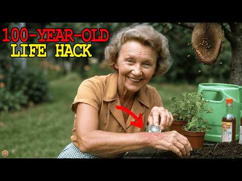 100 Year Old Grandma Hacks You Didn T Know But Still Work Today
