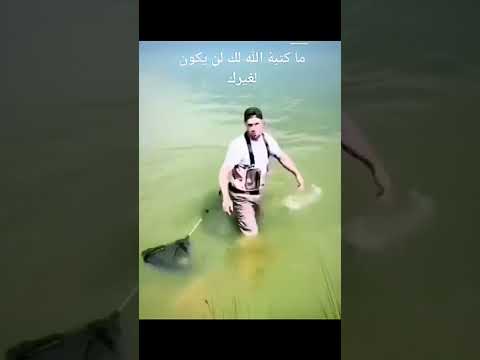 توكلت في رزقي على الله خـالقي وأيقنـت أن الله لا شك رازقي وما يك من رزقي فليـس يفوتني ولو كان