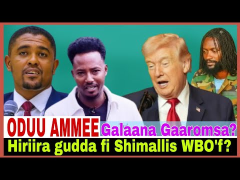 Hiriira Gudda Fi Shimallis WBO F Galaana Gaaromsa 29 3 2026 AGM