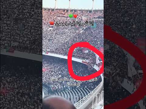 شاهد لحظة سقوط مناصرين مولودية الجزائر من المدرجات Football مولودية الجزائر سقوط المناصرين