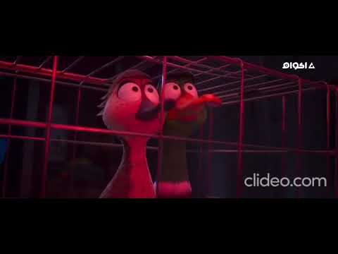 Migration 2023 Hindi Dub Backwards