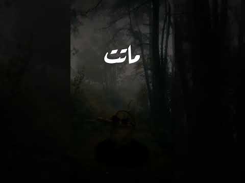 امي ماتت Shorts