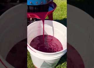 صناعة النبيذ في المنزل مع سفالوسا