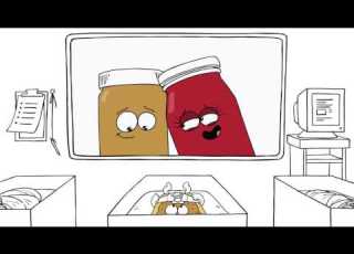 Pop Tarts New Arrival PB J 15TV