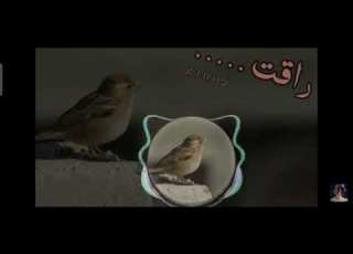  نغمات جميله