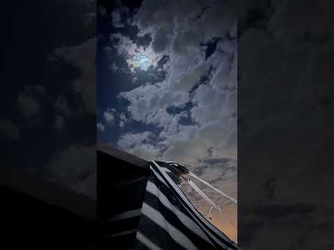 تدور الأرض وتدور السوالف والسنين تدور 2015 بدون موسيقى