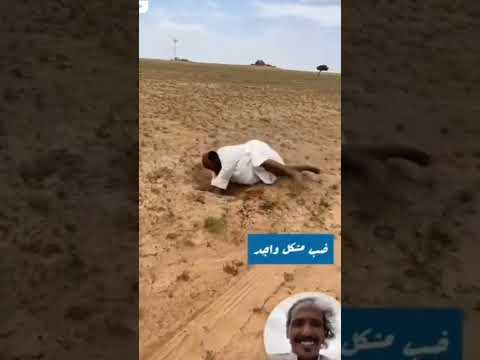 ضب مشاكل واجد