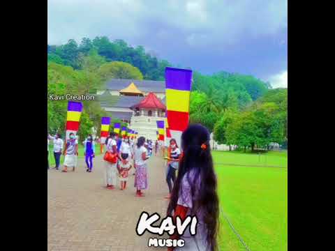 දළඳ ව හ ව හඬ Daladawee Hewa Hada Whatapp Status Chamara Weerasinghe