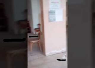  نصبوا الصوان