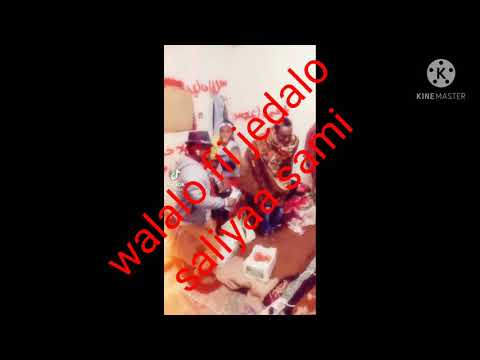 SIRBA HARAWAA WALALO FII JEDALO SALIYA SAMI