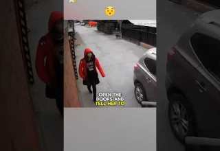 Dog Rescues Girl From Kidnapping