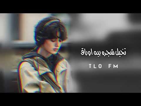 عراقي تخيل شجره بيه اوراق بطئ