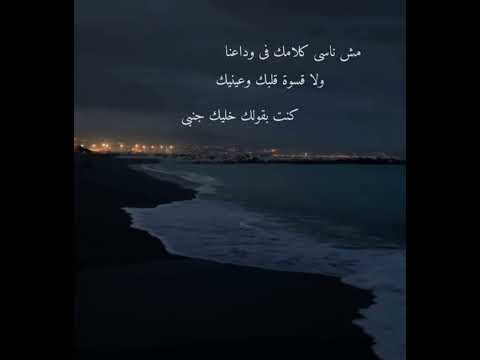 مش ناسي كلامك في وداعنا