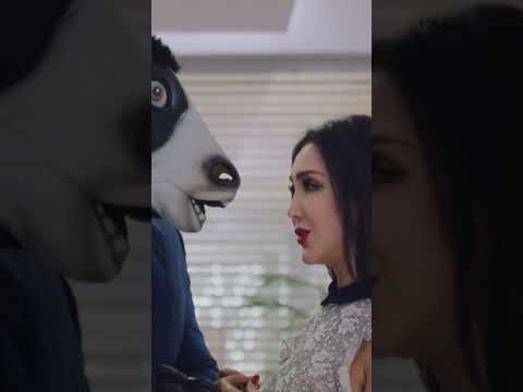 لما تكون بتتكلم في موضوع بجد والكراش توجهلك كلام