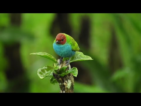 موسيقى لما قلبي يدق بغار عليك موسيقى حزينة