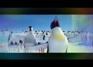  اجمل الاغاني مع البطريق