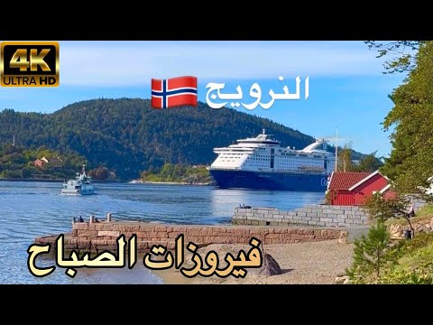 فيروز وأجواء الطريق الساحر دقة عالية جدا مشوار هادئ مع أجمل أغاني فيروز Fairouz In The Car 4K فيروز وأجواء الطريق الساحر دقة عالية جدا مشوار هادئ مع أجمل أغاني فيروز Fairouz In The Car 4K