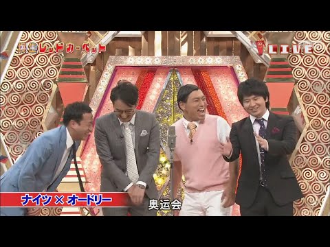 オードリー ナイツxオードリー 激レアコラボカ一ペット