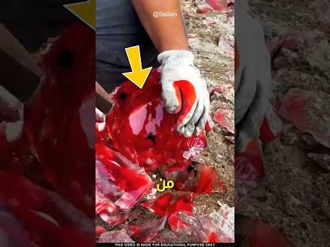 أحجار كريستالية باهضة الثمن Shorts