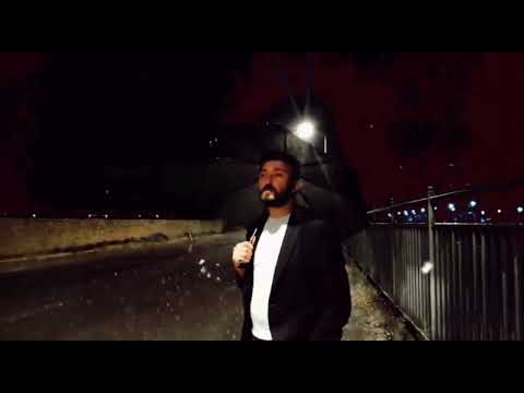 Aydın Sani Düzeler