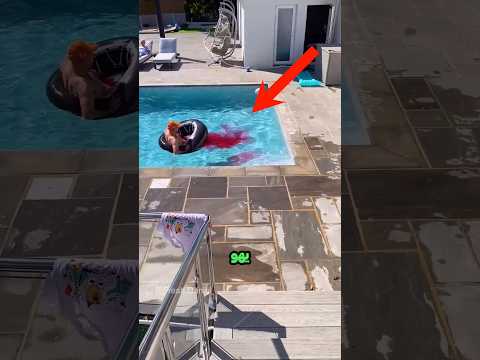 اگه توی استخر ادرار کنی Shorts فارسی Farsi