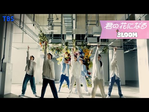 8LOOM 君の花になる MV Dance Ver TBS