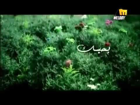 جنات بحبك ياحبيبي اكمنى بهواك وبحس انك منى