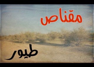  رحلة مقناص للطيور في منطقة بريه بين رفحاء و حفرالباطن قصص حقيقية قصة واقعية جن رعب
