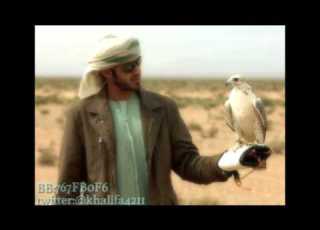  شيله ياويل قلب العنا ويلاه
