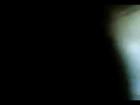 ١٣ نوفمبر ٢٠١٦