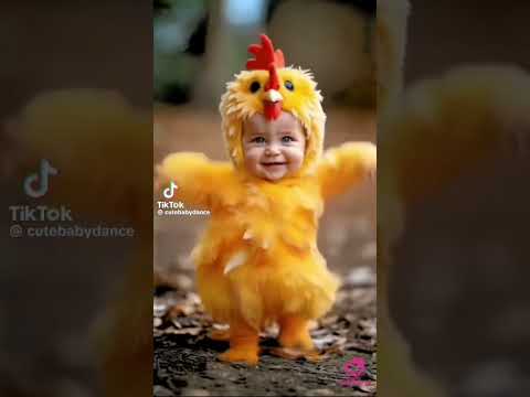 كيكي كيو Animals حياه نحن اكسبلور كوميديا