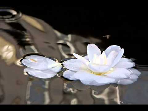 여진 꿈을 꾼 후에