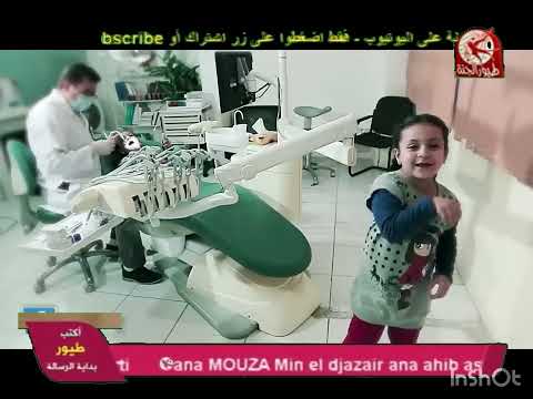 طيور الجنة مباشر 11