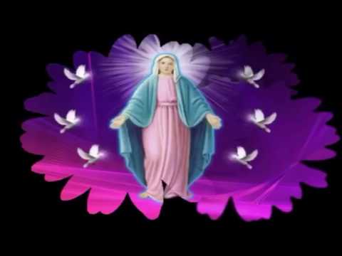 موسيقى ترنيمة انت العدرا وأم والنور موسيقى ترنيمة انت العدرا وأم والنور