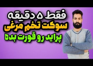سوکت تخم مرغی پراید تشریح تک به تک سیم های سوکت تخم مرغی در کمترین زمان ممکن