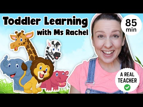 Toddler Learning With Ms Rachel Learn Zoo Animals Kids Songs Educational Videos For Toddlers