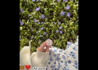 اصاله الورد البلدي مسرعه