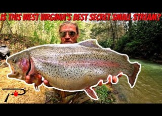  Is This West Virginia S Best Secret Trout Stream