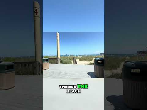 Bluegreen Vacations Tour Beach Access And Amenities Shorts