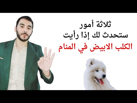 ثلاثة أمور ستحدث لك إذا رأيت الكلب الابيض في المنام تفسير حلم رؤيا الكلب الابيض بالتفصيل