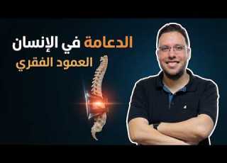  الدعامه في الانسان الهيكل المحوري 2027