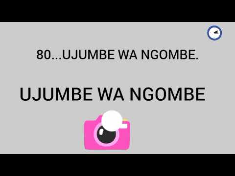 80 UJUMBE WA NGOMBE