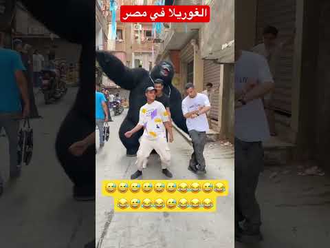اضحكك Explore Music اكسبلور الغوريلا Dance ترند Rap Song Bellydance