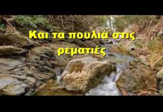 Και τα πουλιά στις ρεματιές Σάκιας Χαντζαράς