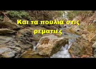 Και τα πουλιά στις ρεματιές Σάκιας Χαντζαράς
